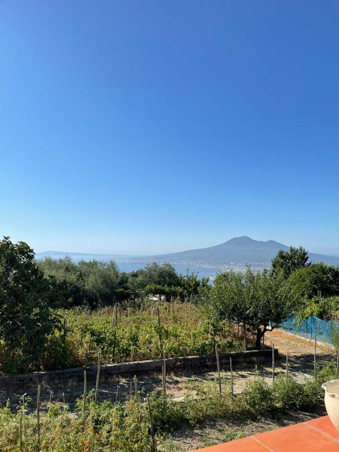 Palipano House Villa Pimonte Exterior foto
